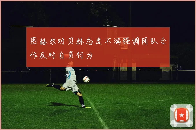 图赫尔对贝林态度不满强调团队合作反对自负行为