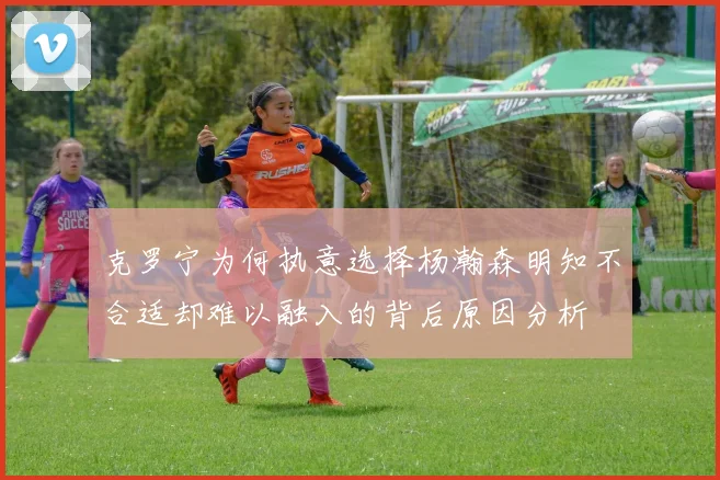 克罗宁为何执意选择杨瀚森明知不合适却难以融入的背后原因分析