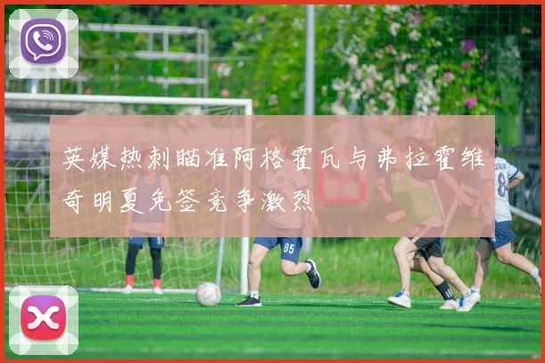 英媒热刺瞄准阿格霍瓦与弗拉霍维奇明夏免签竞争激烈