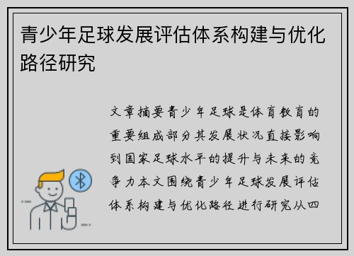 青少年足球发展评估体系构建与优化路径研究