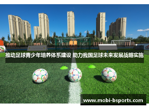 推动足球青少年培养体系建设 助力我国足球未来发展战略实施