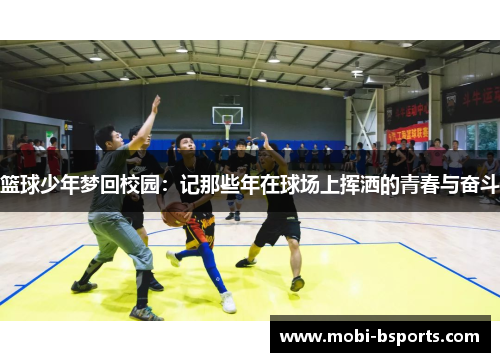 篮球少年梦回校园：记那些年在球场上挥洒的青春与奋斗