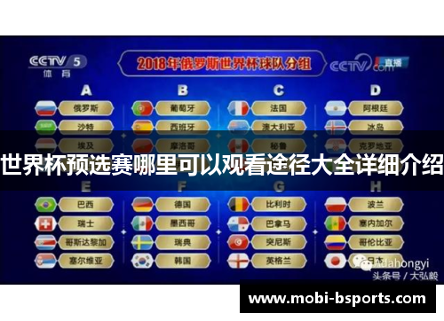 世界杯预选赛哪里可以观看途径大全详细介绍