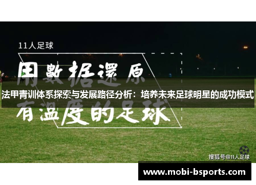 法甲青训体系探索与发展路径分析：培养未来足球明星的成功模式