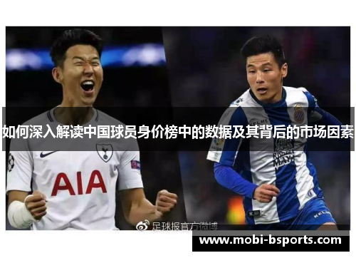 如何深入解读中国球员身价榜中的数据及其背后的市场因素