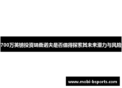 700万英镑投资胡桑诺夫是否值得探索其未来潜力与风险