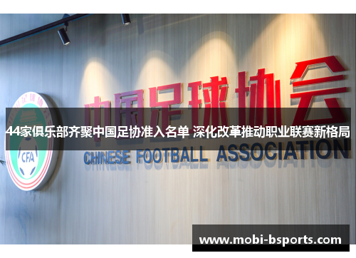 44家俱乐部齐聚中国足协准入名单 深化改革推动职业联赛新格局