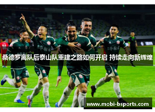 桑德罗离队后泰山队重建之路如何开启 持续走向新辉煌
