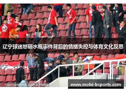 辽宁球迷怒砸水瓶事件背后的情绪失控与体育文化反思