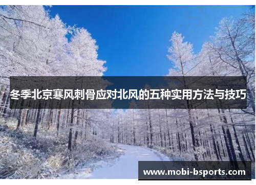 冬季北京寒风刺骨应对北风的五种实用方法与技巧