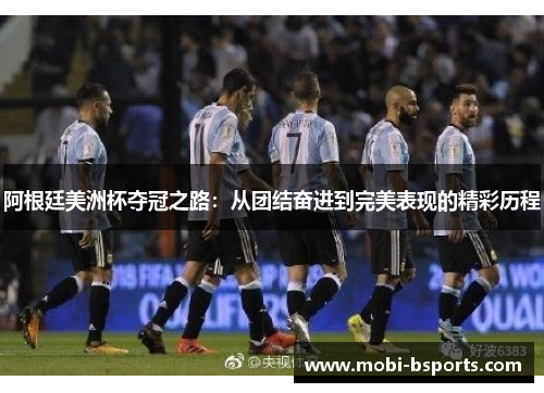阿根廷美洲杯夺冠之路：从团结奋进到完美表现的精彩历程